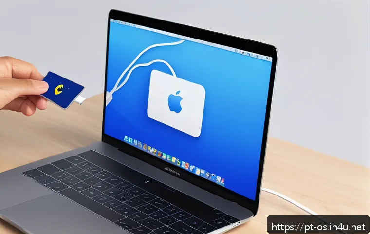Como resolver problemas de reconhecimento de drives externos no macOS de forma rápida e eficaz 3 macOS에서 외장 드라이브 인식 문제 해결 관련 이미지 1