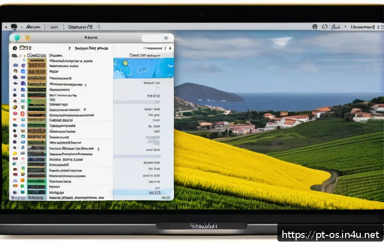 Como resolver problemas de reconhecimento de drives externos no macOS de forma rápida e eficaz 4 macOS에서 외장 드라이브 인식 문제 해결 관련 이미지 2